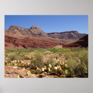 Malerischer Colorado River am Grand Canyon Foto Poster