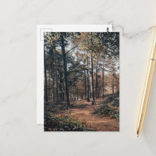 Malerischer entspannender Wald Postkarte