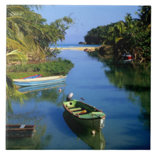 Malerischer Fluss nahe Ocho Rios in Jamaika Fliese