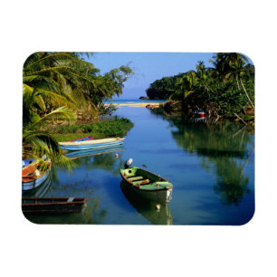 Malerischer Fluss nahe Ocho Rios in Jamaika Magnet