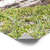 malerischer kanadischer Wasserfall, Stanley Falls Poster (Ecke)