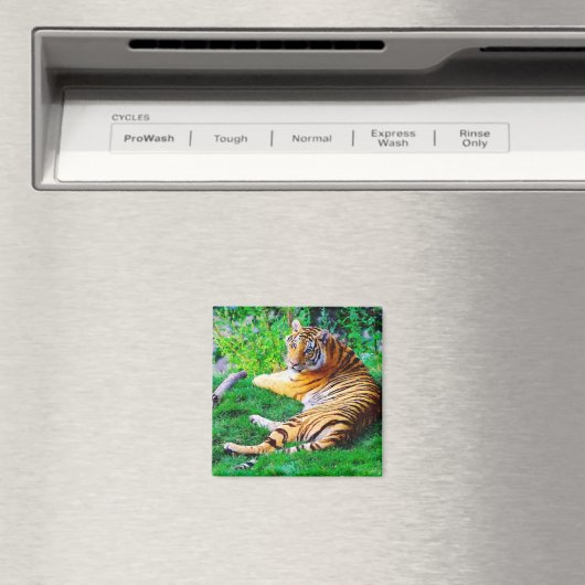 Malerischer Tiger im Gras Magnet (In Situ (Geschirrspüler))