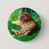 Malerisches Lounging Tiger Wildlife Pinback Button (Vorderseite)