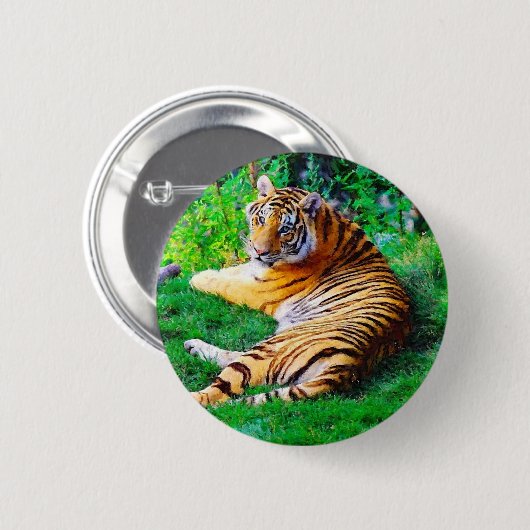Malerisches Lounging Tiger Wildlife Pinback Button (Vorne & Hinten)