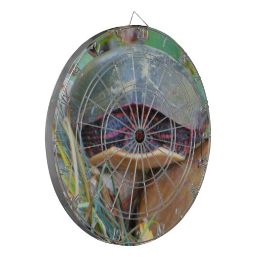 Malerisches Schildkrötenversteck Dartscheibe (Vorderseite Links)