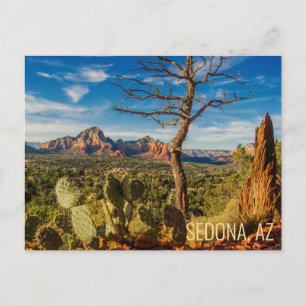 Malerisches Sedona Arizona Wüsten-Postkarte mit Ka Postkarte