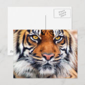 Malerisches Siberisches Tiger-Paint-Foto Postkarte (Vorne/Hinten)