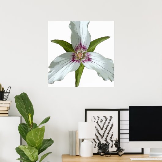 Malerisches Trillium Spring Wildblume Poster (Heimbüro)