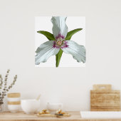 Malerisches Trillium Spring Wildblume Poster (Küche)