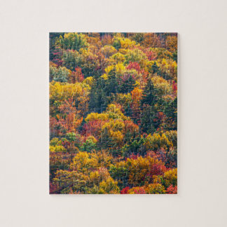 Malersiche Herbstblätter Herbstlandschaft Foto Puzzle