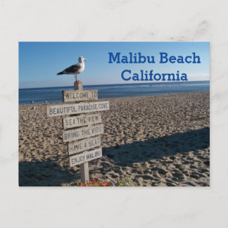 Malibu Beach Postcard - Paradise Cove Seagull Zeic Postkarte