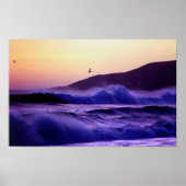 Malibu Beach Poster (Vorne)