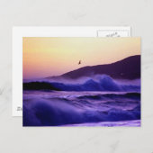 Malibu Beach Postkarte (Vorne/Hinten)