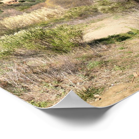 Malibu Creek Staat Park Poster (Ecke)