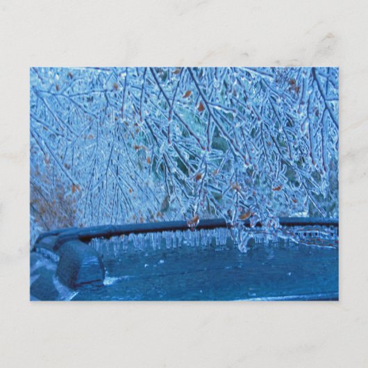 Malibu Icicles Postkarte (Vorderseite)