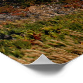 Malibu-Küste Poster (Ecke)