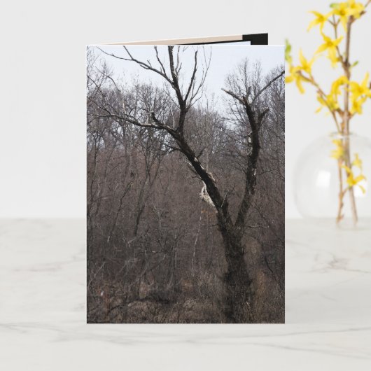 Malificent Baum Karte (Gelbe Blume)