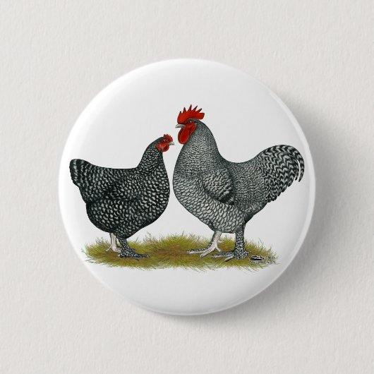 Maline Chickens Button (Vorderseite)