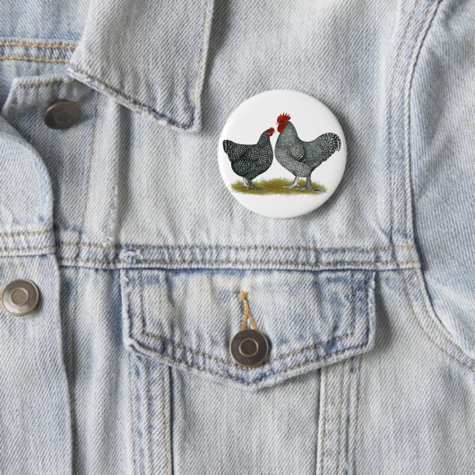 Maline Chickens Button (Beispiel)