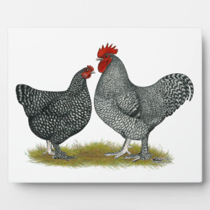 Maline Chickens Fotoplatte
