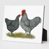 Maline Chickens Fotoplatte (Seite)