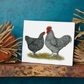 Maline Chickens Fotoplatte (Seite)