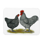 Maline Chickens Magnet (Horizontal)
