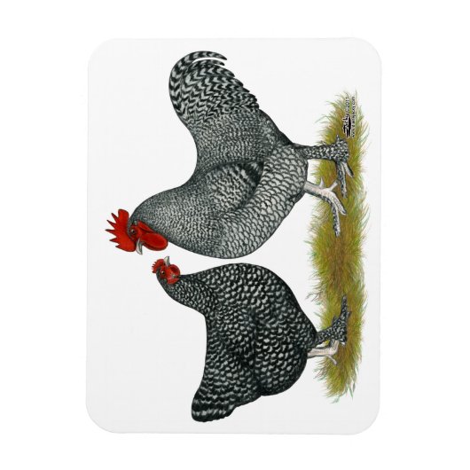 Maline Chickens Magnet (Vertikal)
