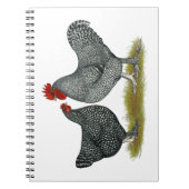 Maline Chickens Notizblock (Vorderseite)