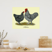 Maline Chickens Poster (Küche)