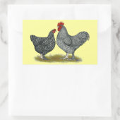 Maline Chickens Rechteckiger Aufkleber (Tasche)