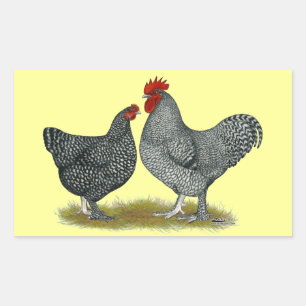 Maline Chickens Rechteckiger Aufkleber
