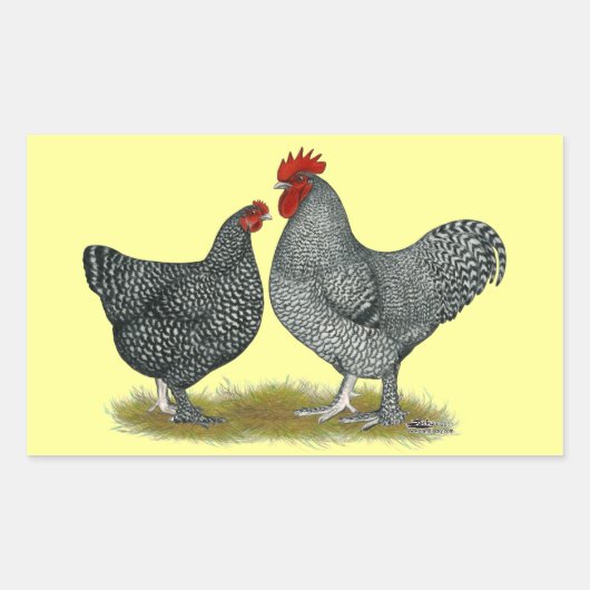 Maline Chickens Rechteckiger Aufkleber (Vorderseite)