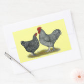 Maline Chickens Rechteckiger Aufkleber (Umschlag)