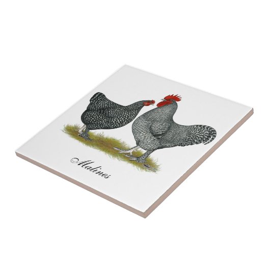 Maline Hühner Fliese (Seite)