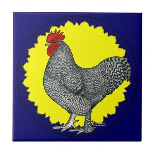Maline Rooster Fliese (Vorderseite)