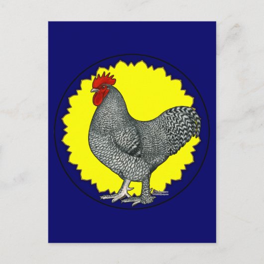 Maline Rooster Postkarte (Vorderseite)