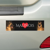 Malinois Autoaufkleber (Auf Auto)