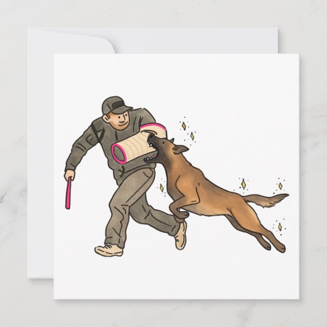 Malinois Beißarbeit (Vorderseite)