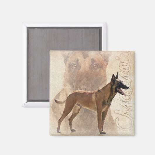 Malinois - belgischer Hirte - Mechelaar Magnet (Vorderseite/Rückseite)