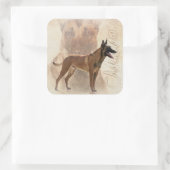 Malinois - belgischer Hirte - Mechelaar Quadratischer Aufkleber (Tasche)