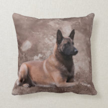 Malinois belgischer Schäfer - Mechelaar