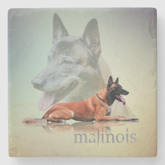 Malinois - belgischer Schäfer - Mechelaar - Steinuntersetzer (Vorderseite)