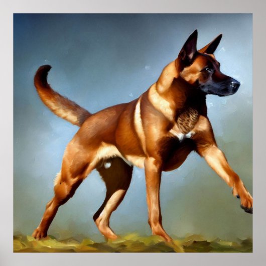 Malinois Belgium Shepherd Dog Poster (Vorne)