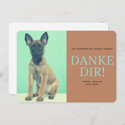 Malinois   dankeskarte (Vorne/Hinten)