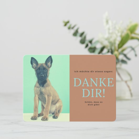 Malinois dankeskarte (Stehend Vorderseite)