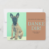 Malinois   dankeskarte (Vorderseite)