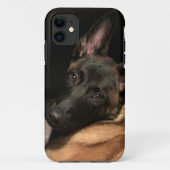 Malinois Dog Case-Mate iPhone Hülle (Rückseite)