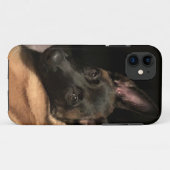 Malinois Dog Case-Mate iPhone Hülle (Rückseite (Horizontal))