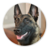 Malinois Dog Keramikknauf (Vorderseite)